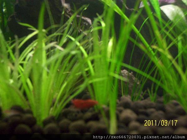 100_1562.JPG