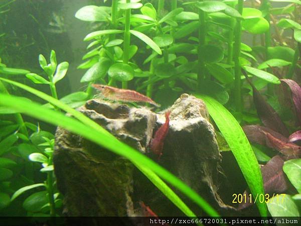 100_1572.JPG