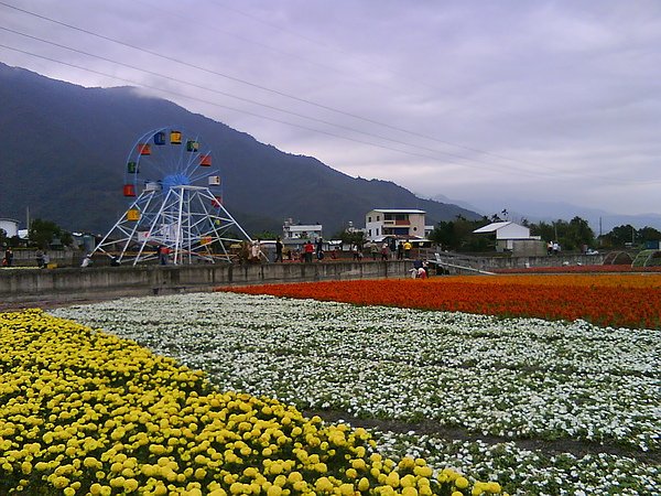 花海