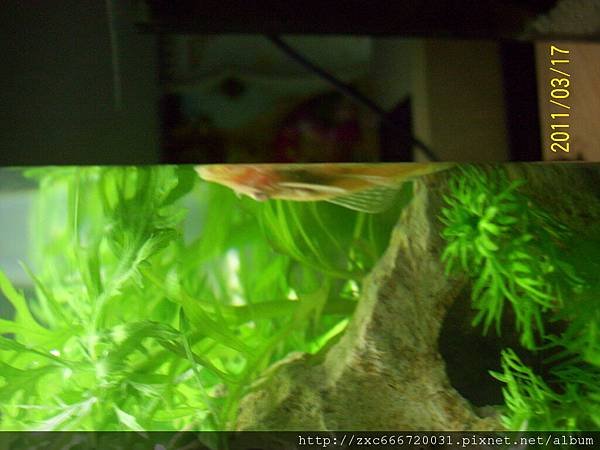 100_1570.JPG