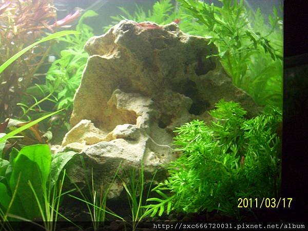 100_1578.JPG