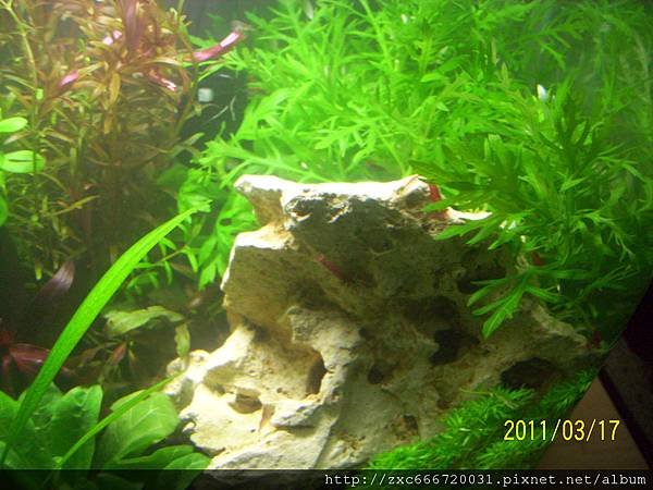 100_1579.JPG