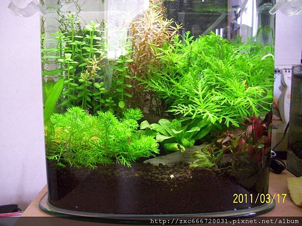 100_1546.JPG