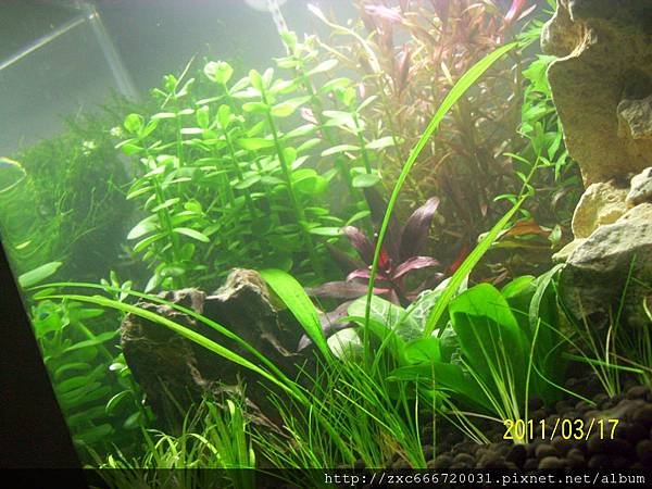 100_1576.JPG