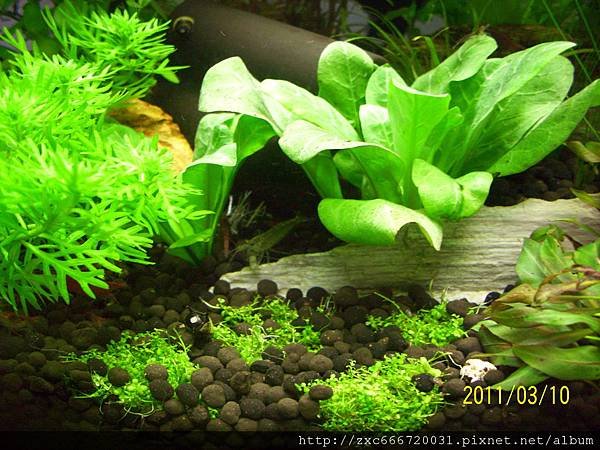100_1532.JPG