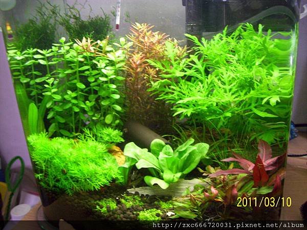 100_1531.JPG
