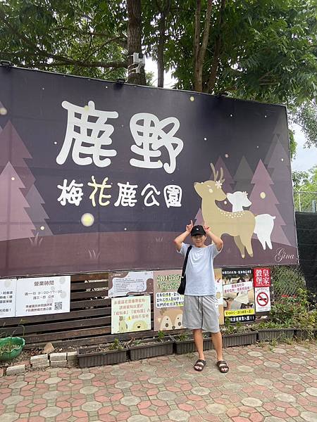 【台東景點】有趣小遊戲及可愛梅花鹿的鹿野梅花鹿公園