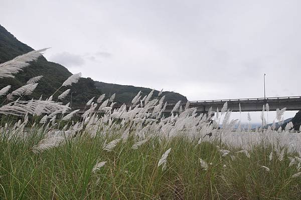 DSC_0329.JPG