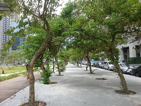 補上國泰府會園道最尊榮珍貴的豪宅相片喔！_5214_0.jpg