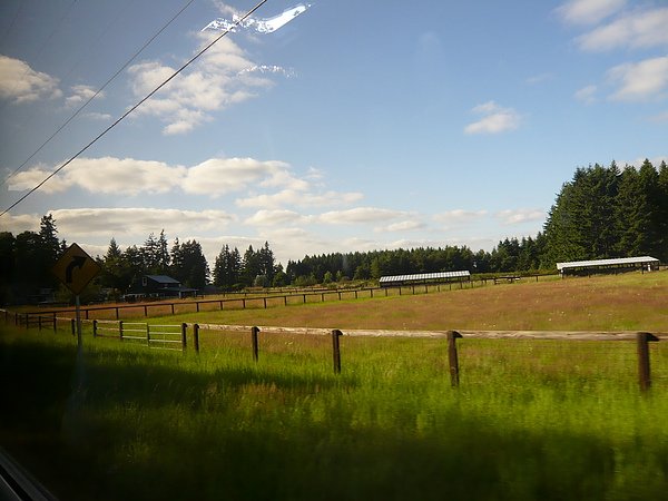 P1140138.JPG