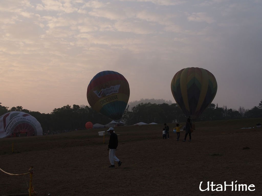 2013balloon29