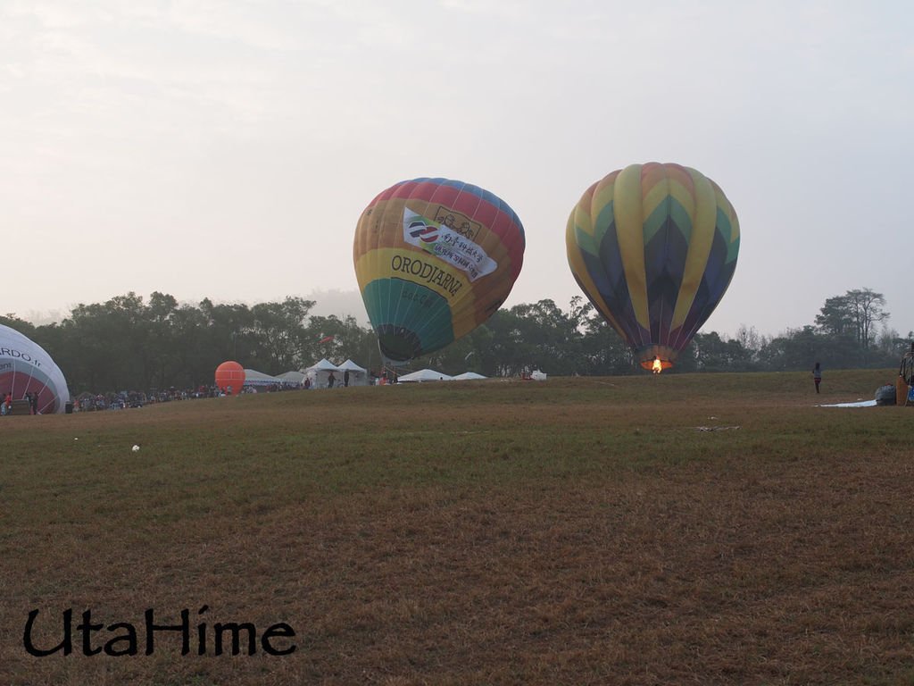 2013balloon31