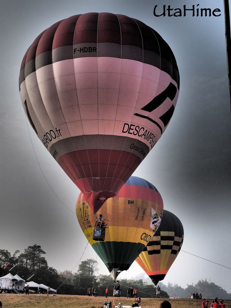 2013balloon67