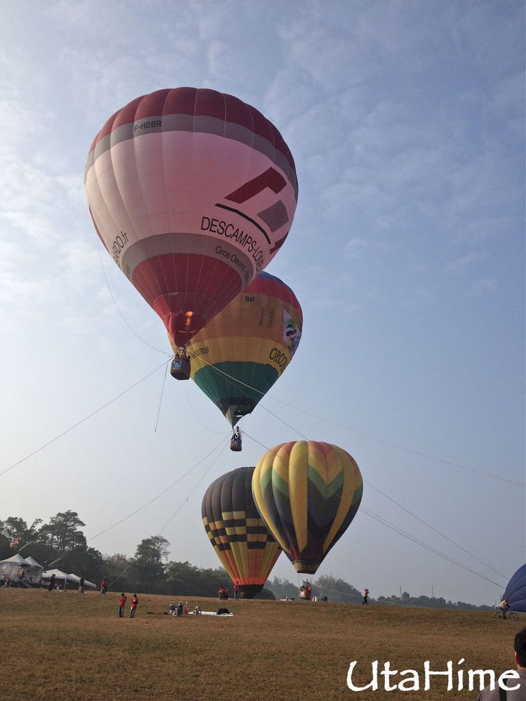 2013balloon22