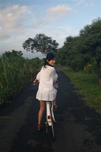 20100806 (2).JPG