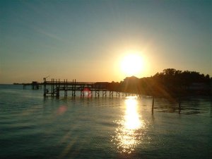 20050910_Cedarkey