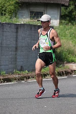 2014南投竹山馬1.jpg
