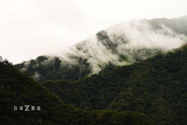 台東 南橫公路 (23).JPG