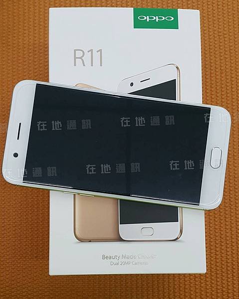 R11-金-正