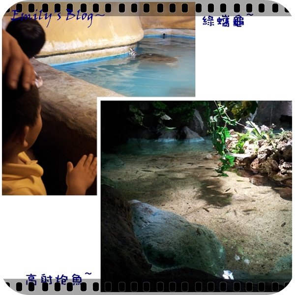 sea park 6
