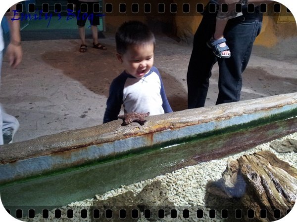 sea park 5